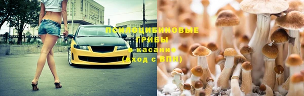 PSILOCYBIN Алексеевка