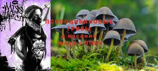 PSILOCYBIN Алексеевка