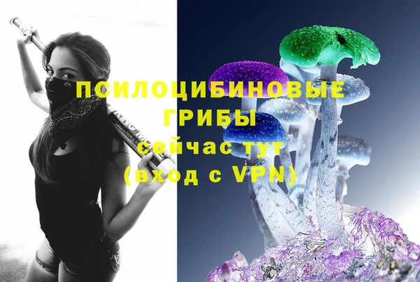 PSILOCYBIN Алексеевка