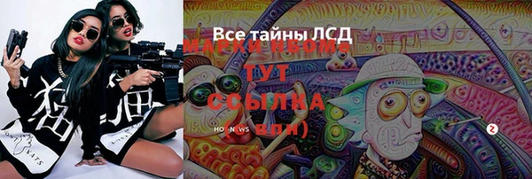 сатива Алзамай