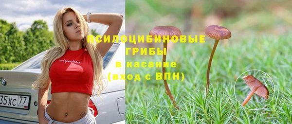 меф Алексин