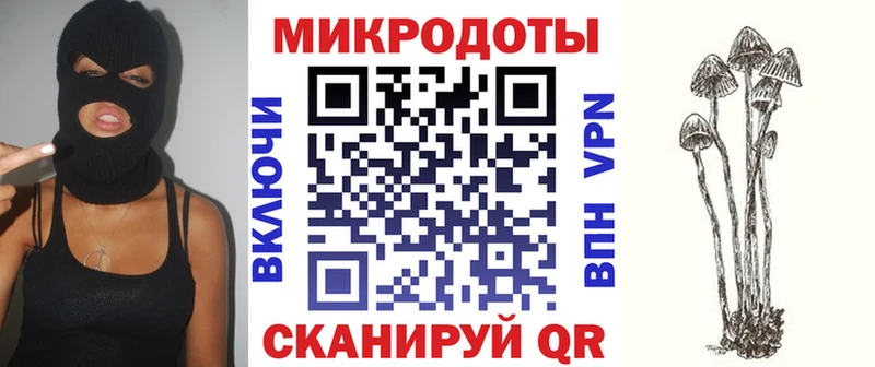 MEGA ONION  Пугачёв  Галлюциногенные грибы Cubensis 