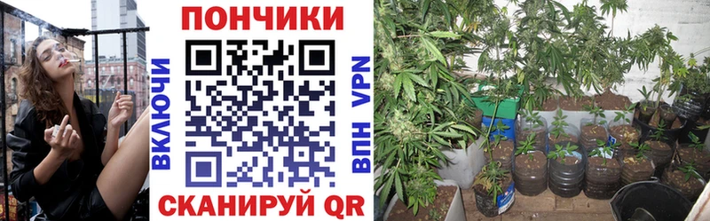 Марихуана марихуана  Пугачёв 